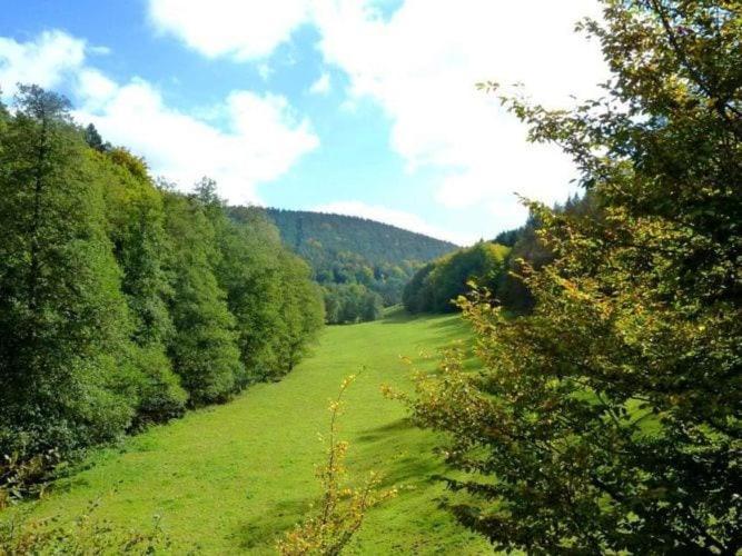 Mossautal Apartment In The Odenwald With Terrace מראה חיצוני תמונה