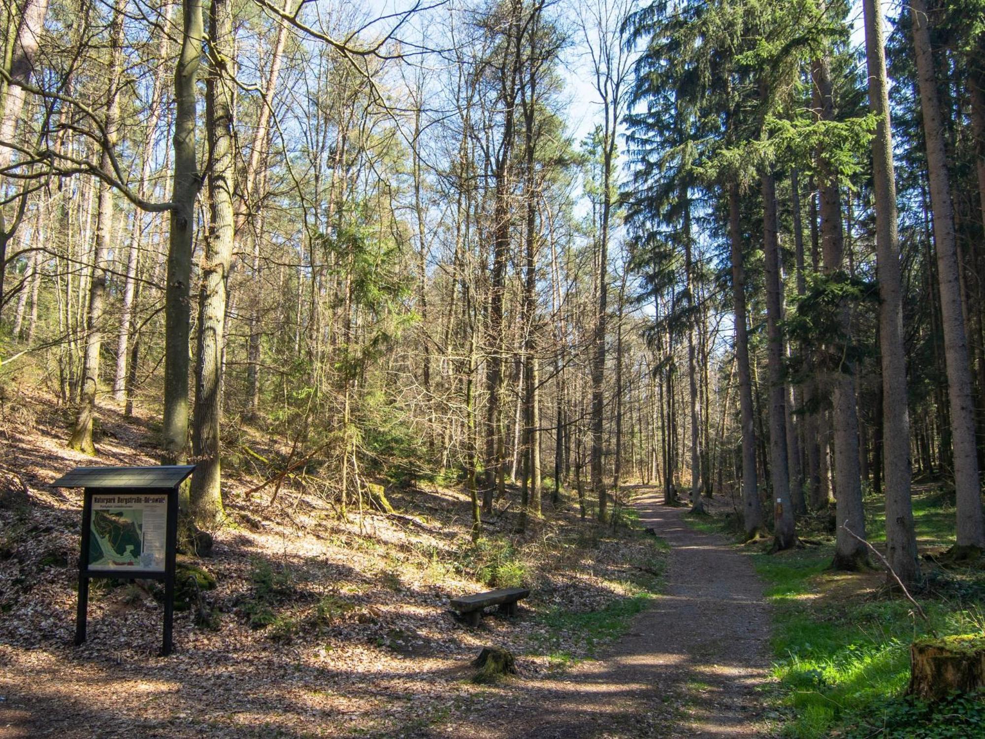 Mossautal Apartment In The Odenwald With Terrace מראה חיצוני תמונה